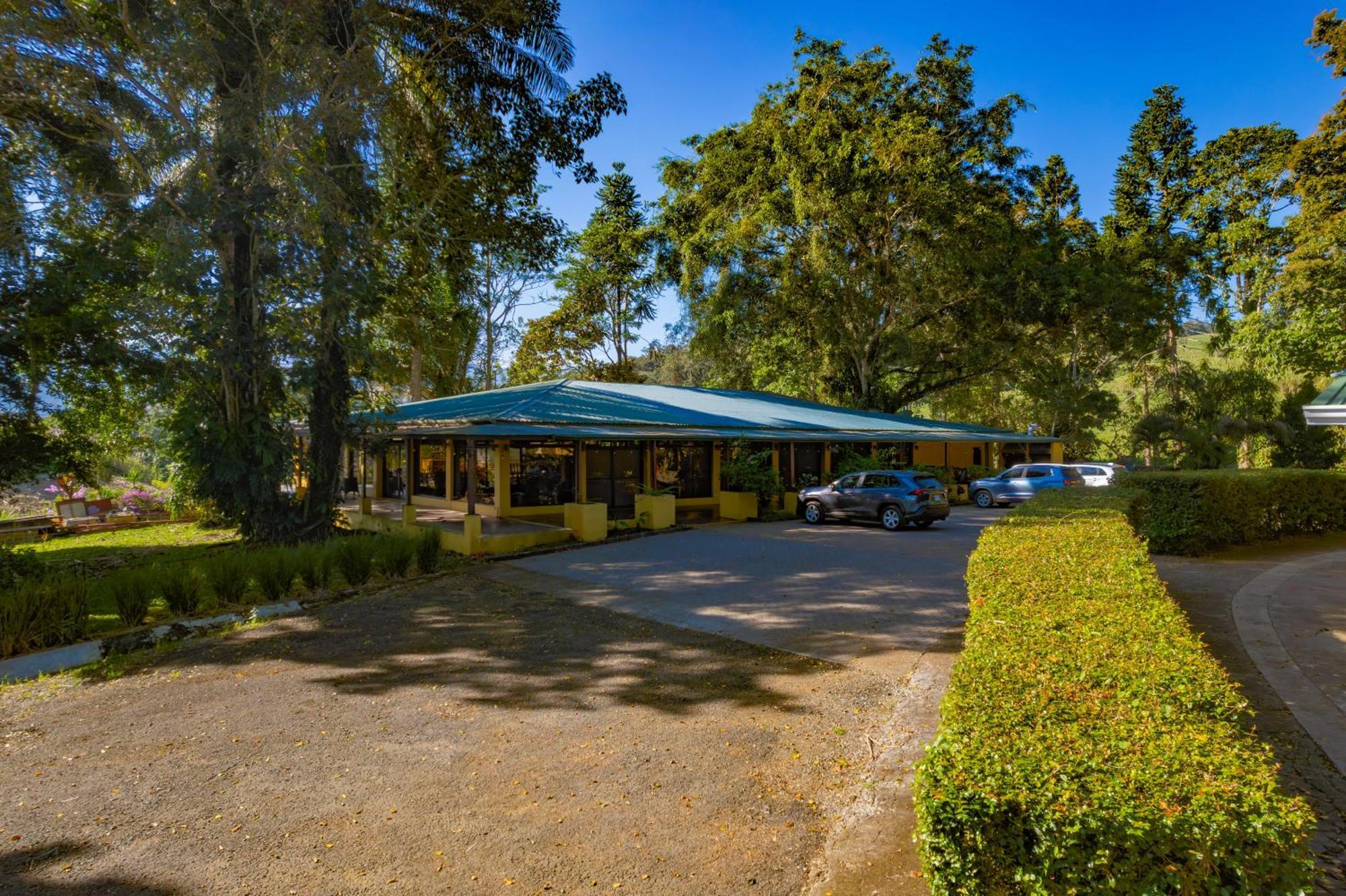 Hotel Villa Florencia توريالبا المظهر الخارجي الصورة